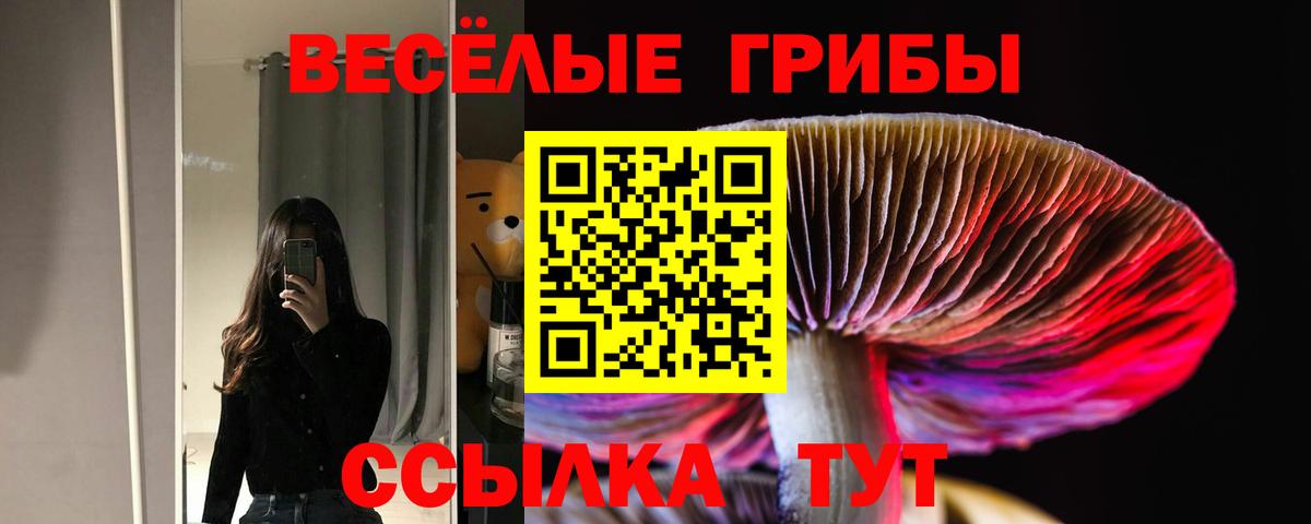 Псилоцибиновые грибы ЛСД Саров